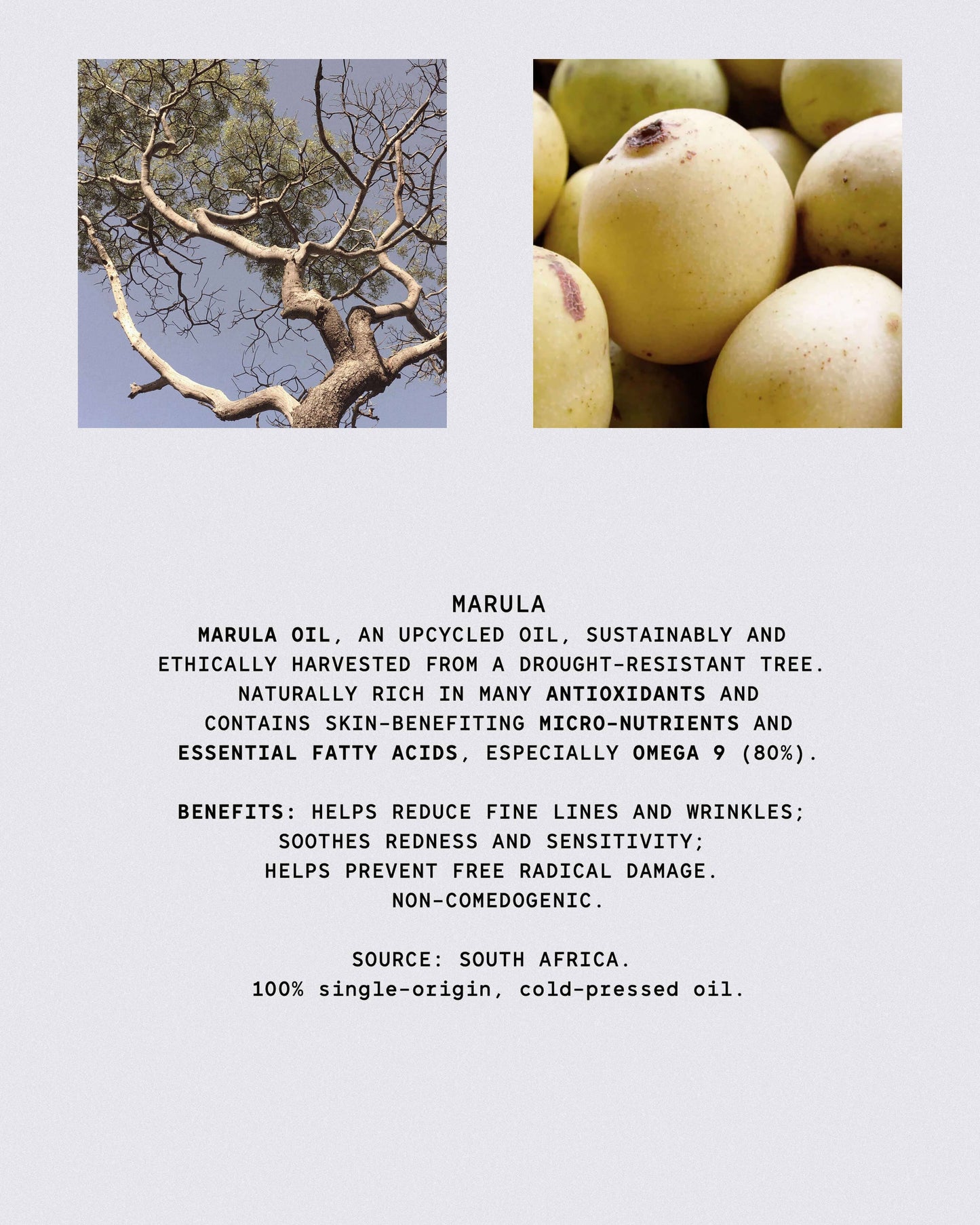 African Botanics Pure Marula Oil