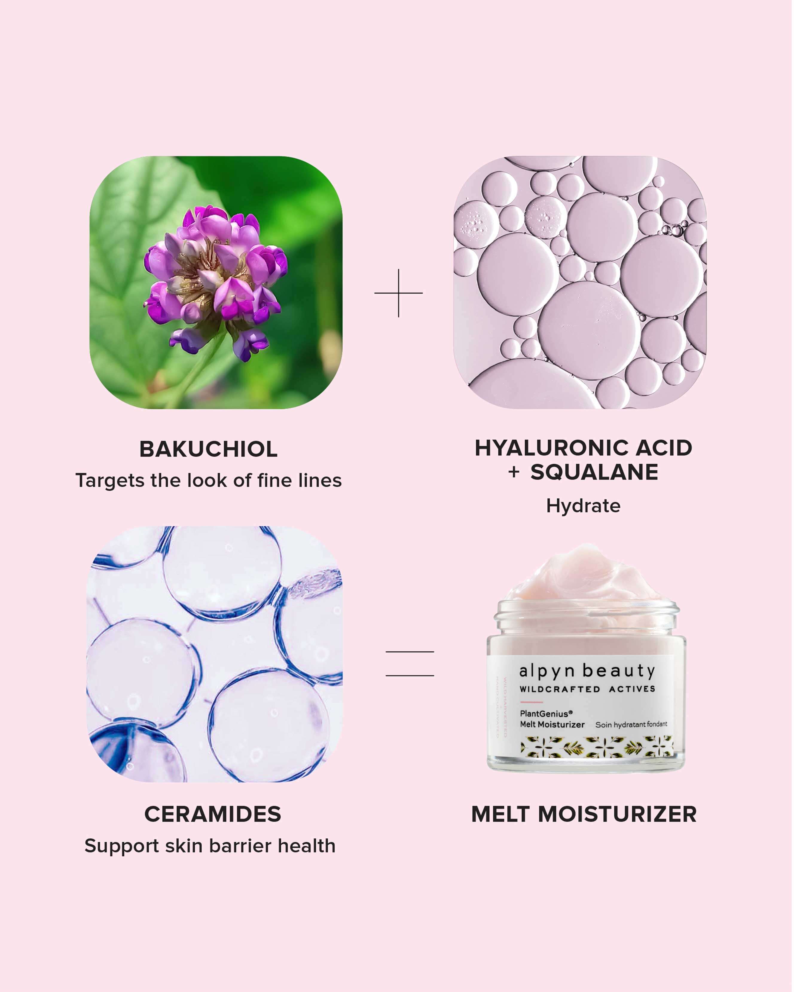 PlantGenius Melt Moisturizer