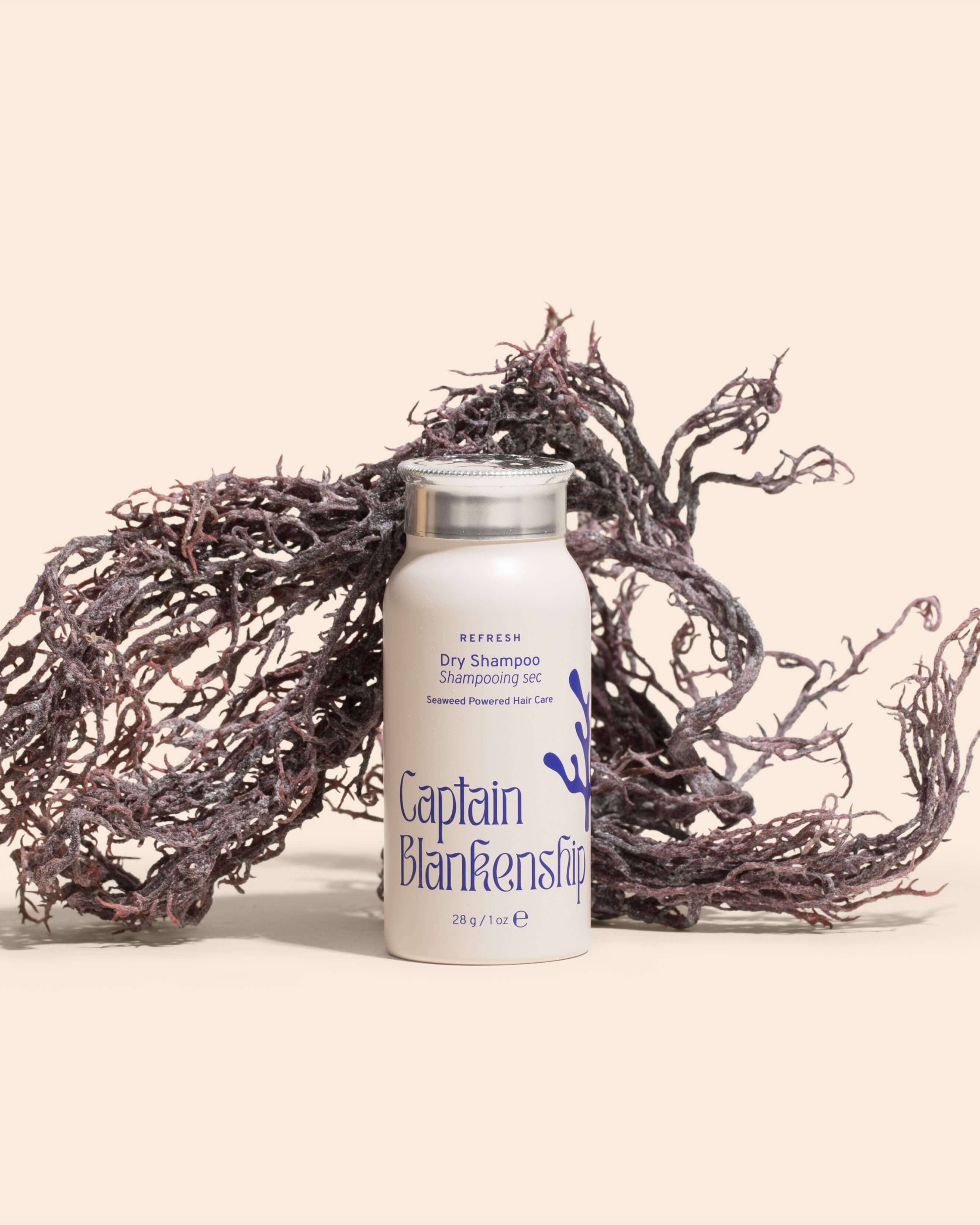 Refresh Powder Dry Shampoo