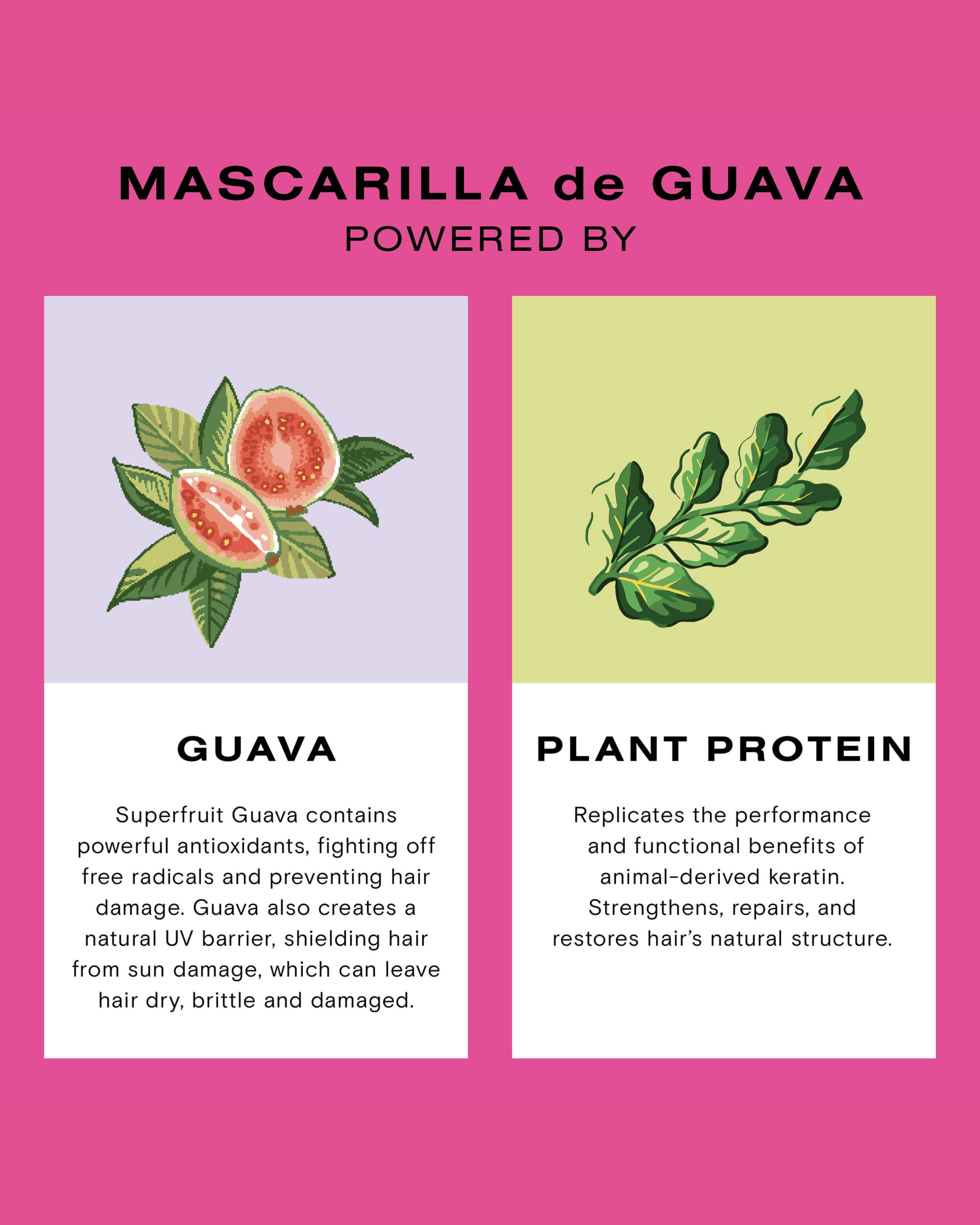 Mascarilla de Guava