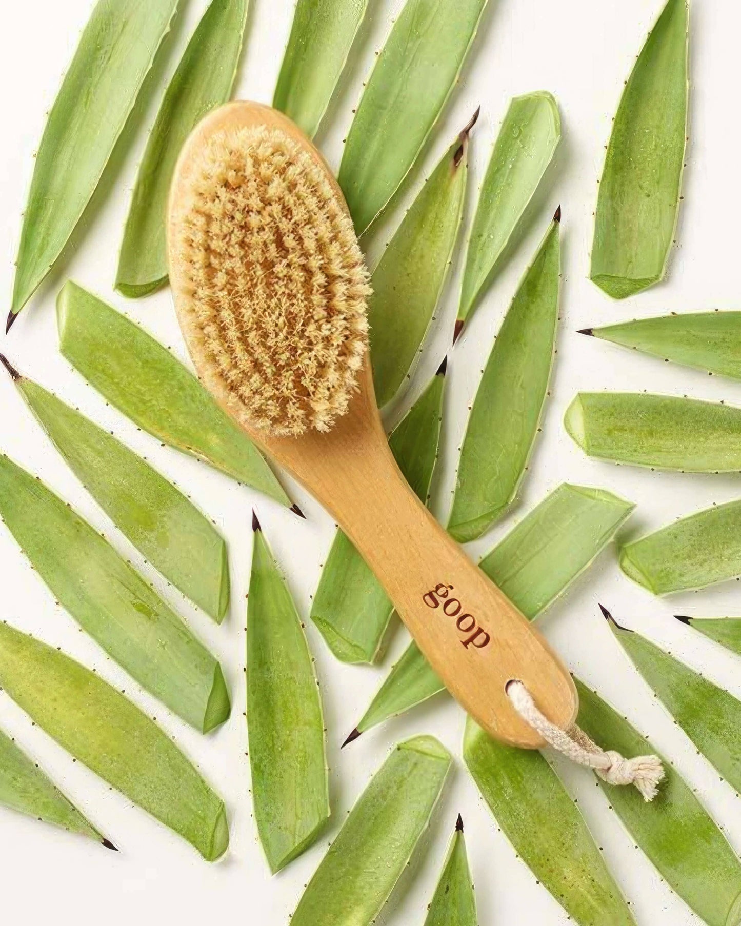 G.Tox Ultimate Dry Brush