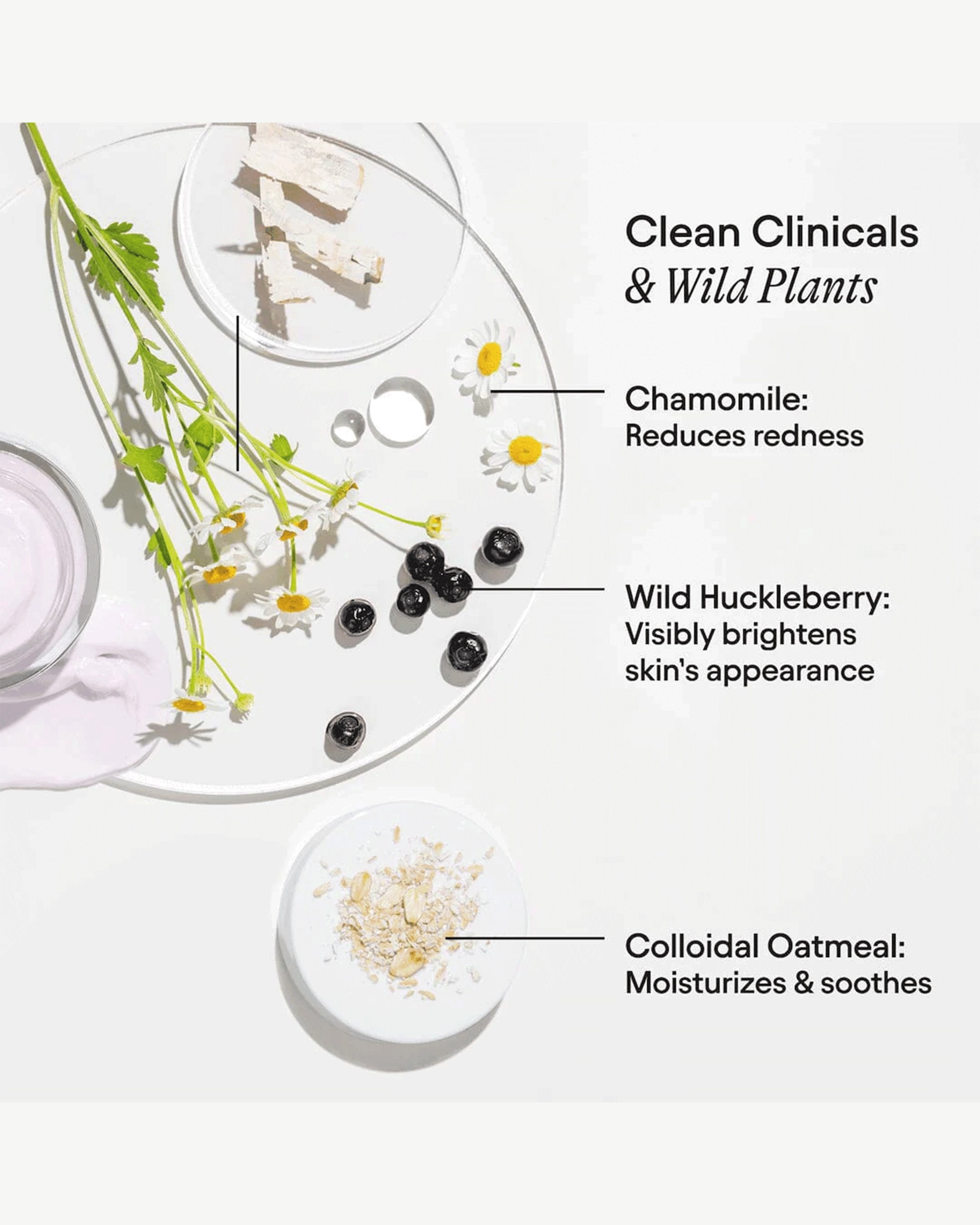 Wild Huckleberry Radiance Recovery Peel