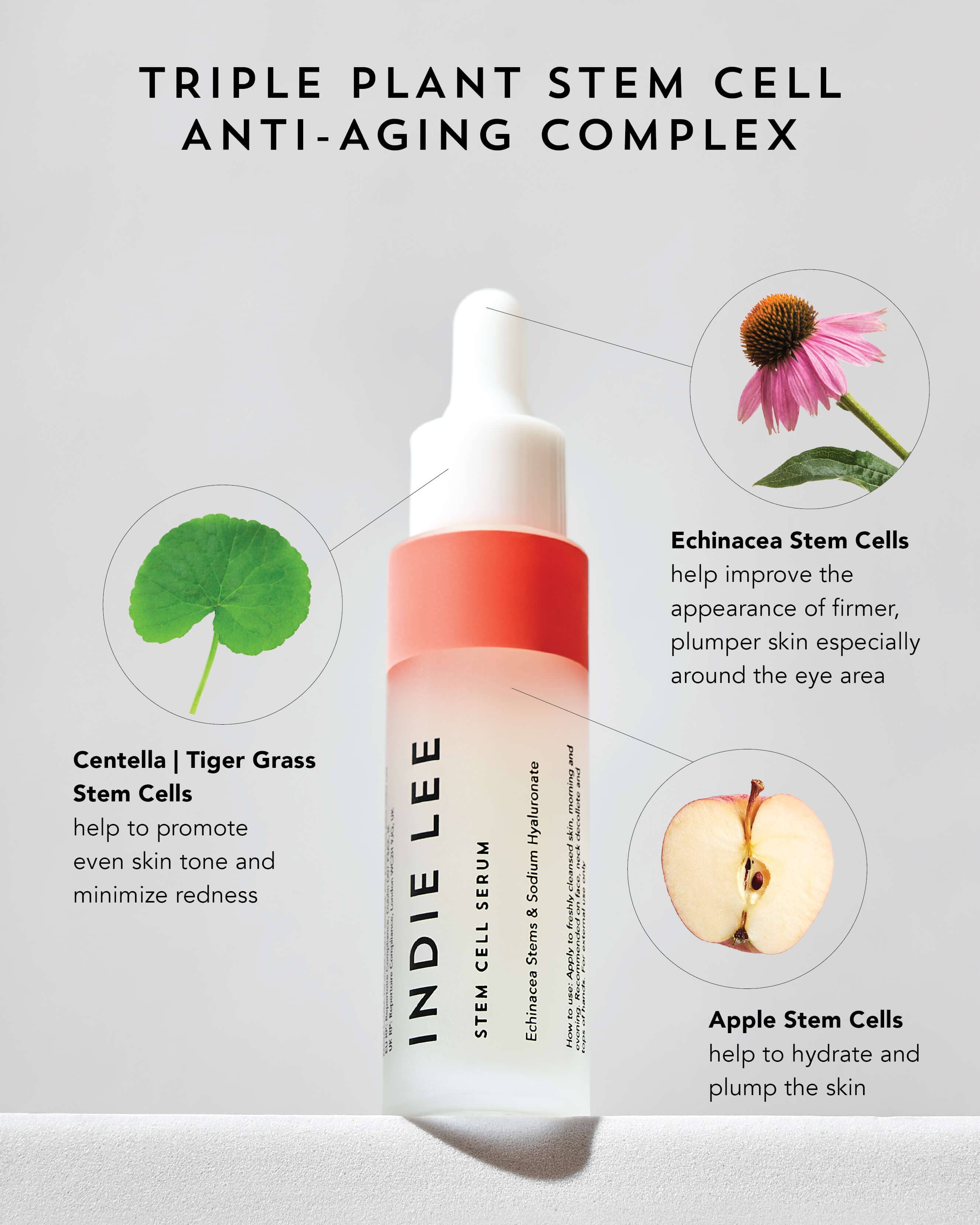 Stem Cell Serum