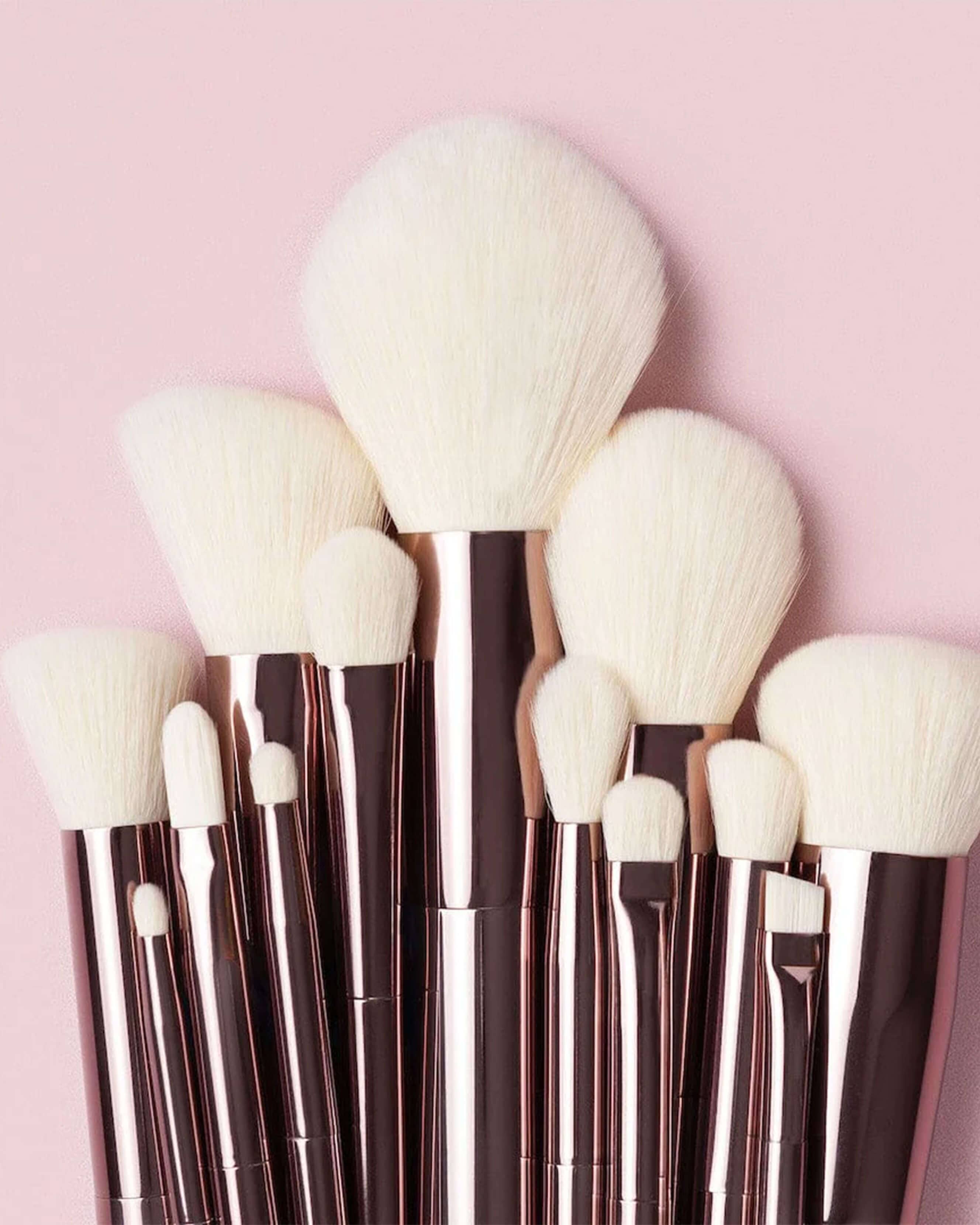 Sustainable Luxury Complexion Brush