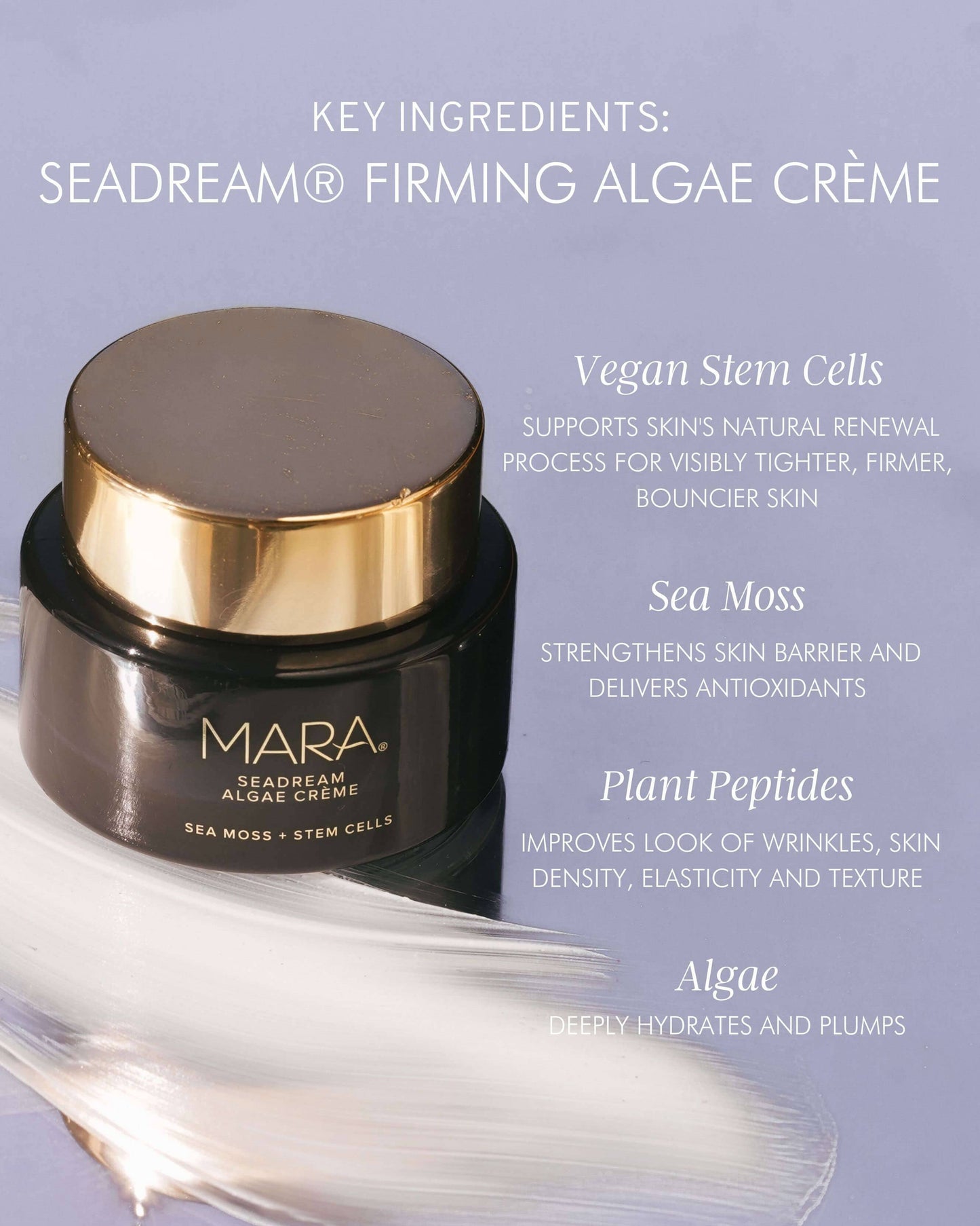 Sea Moss + Stem Cells SeaDream Firming Algae Créme Moisturizer