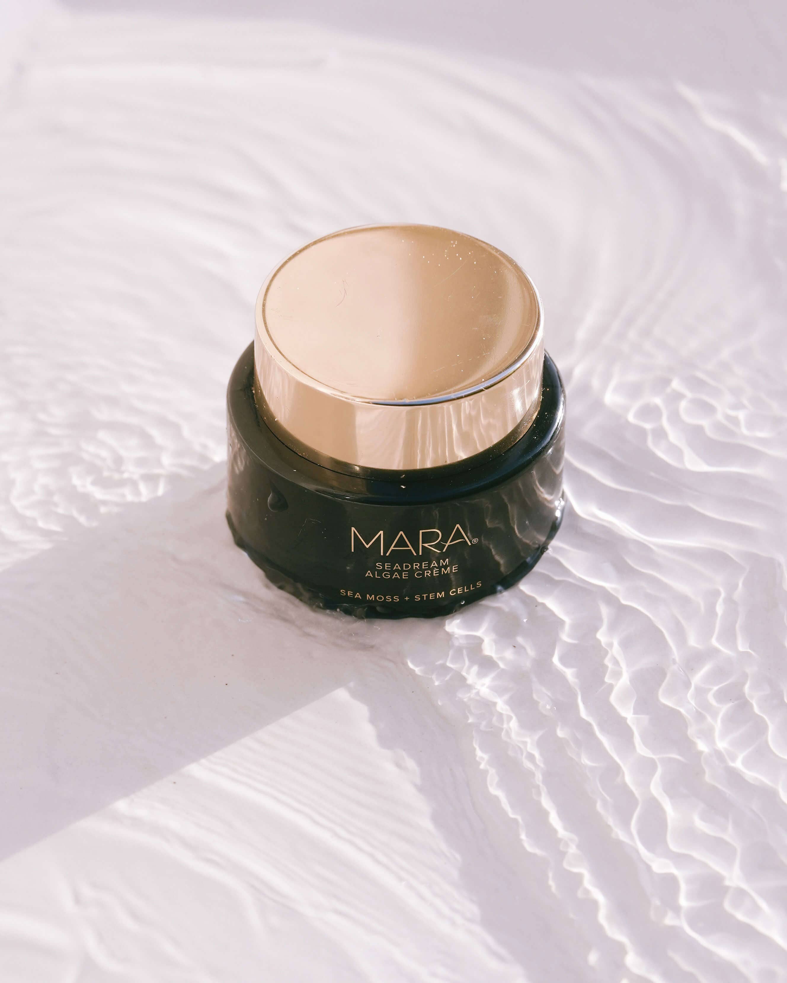 Sea Moss + Stem Cells SeaDream Firming Algae Créme Moisturizer