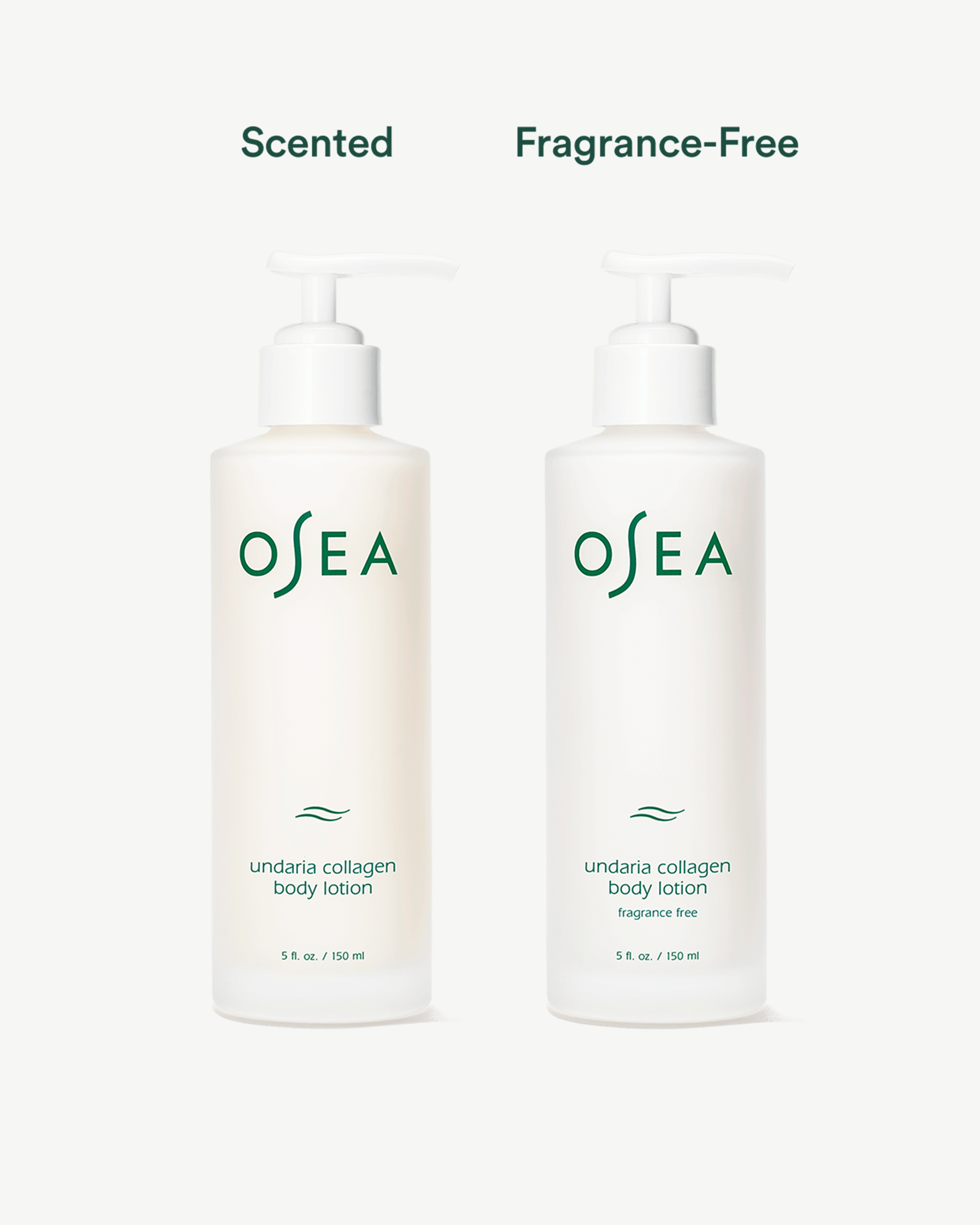 Undaria Algae Body Lotion Fragrance Free