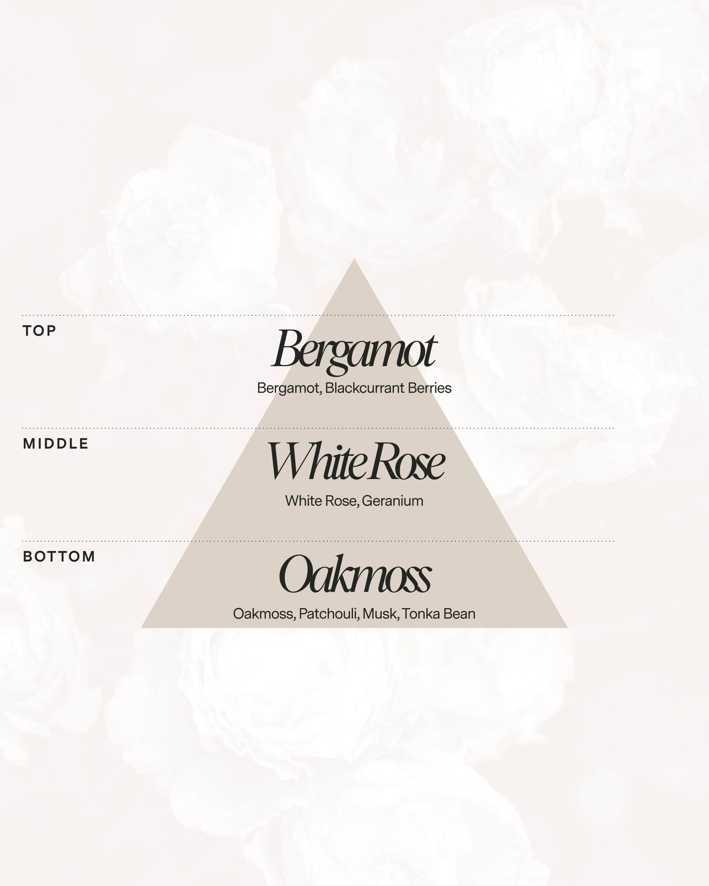 No 01 — Bergamot, White Rose, Oakmoss