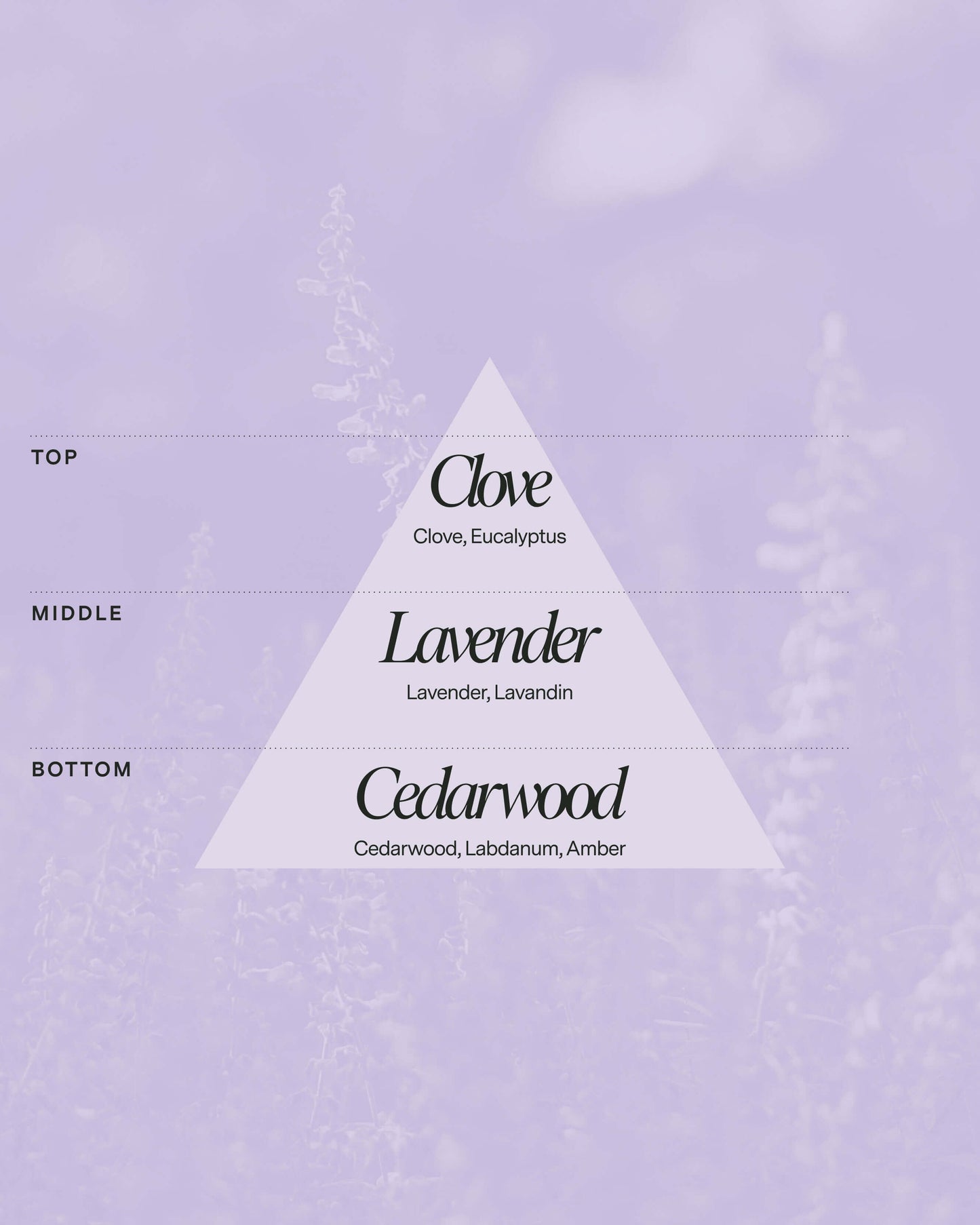 No 05 — Clove, Lavender, Cedarwood