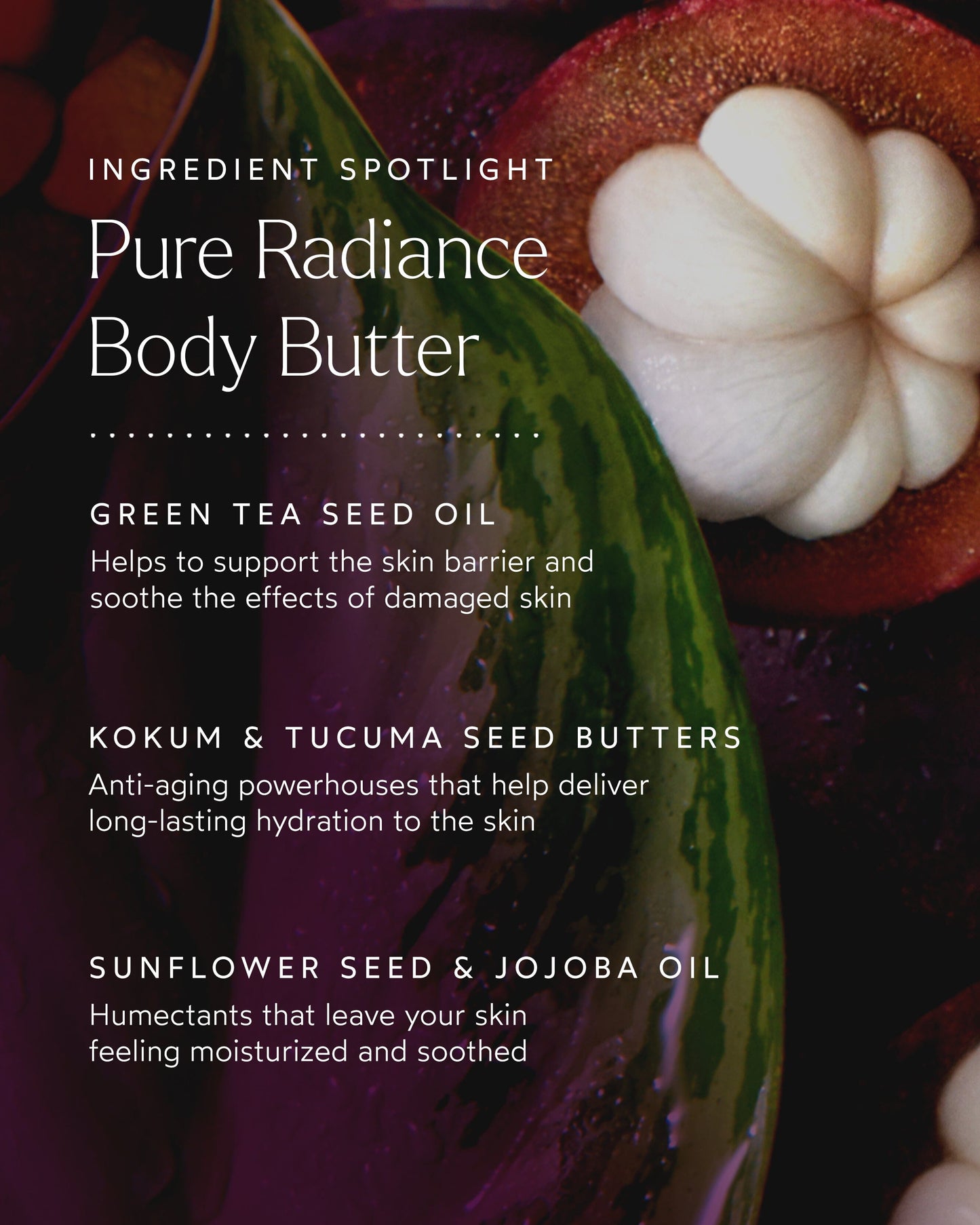 Pure Radiance Body Butter