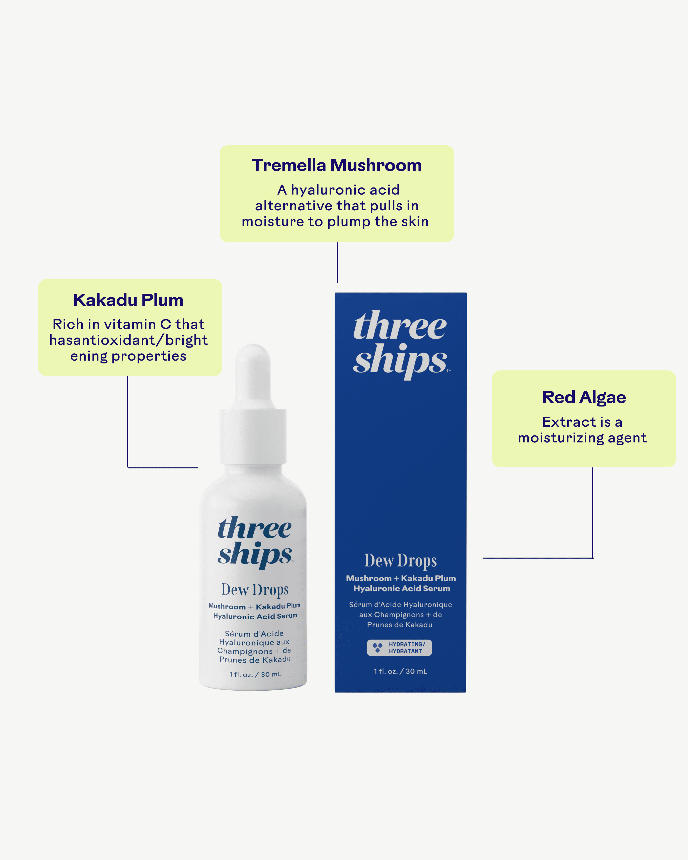 Dew Drops Mushroom Hyaluronic Acid + Vitamin C Serum