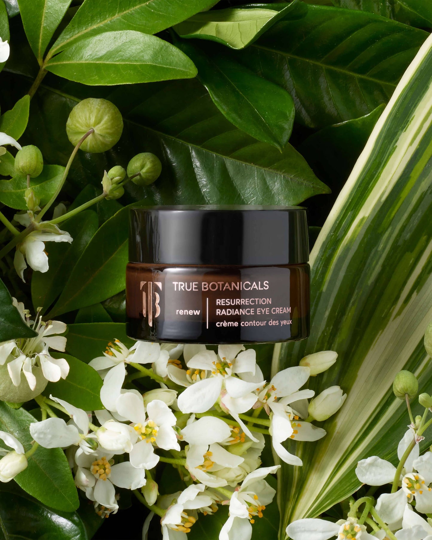 Resurrection Radiance Eye Cream