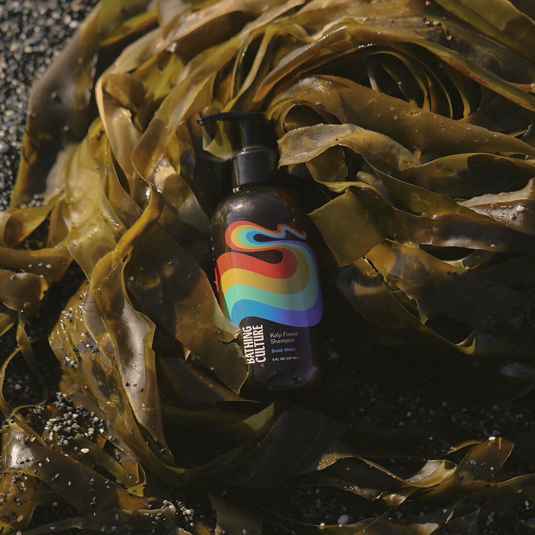 Kelp Forest Shampoo